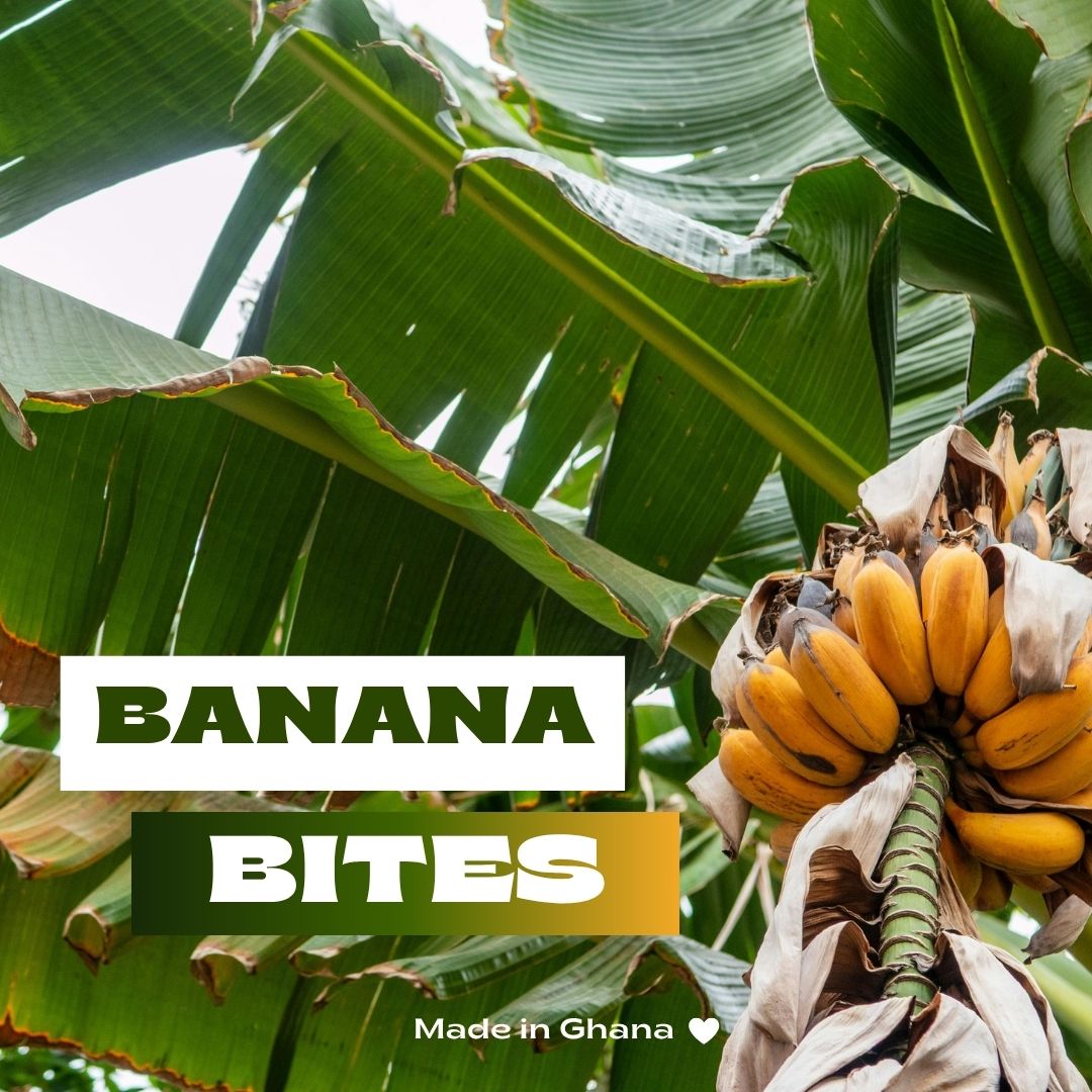 Amanase Bio-Banana Bites | 100g Snackbox
