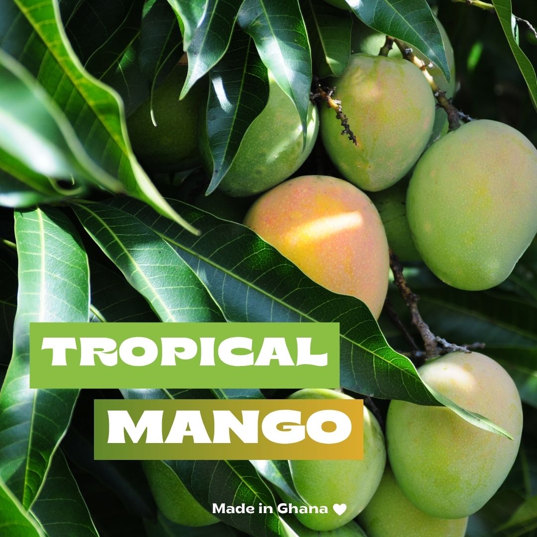 Amanase Bio-Mango | 100g Snackbox