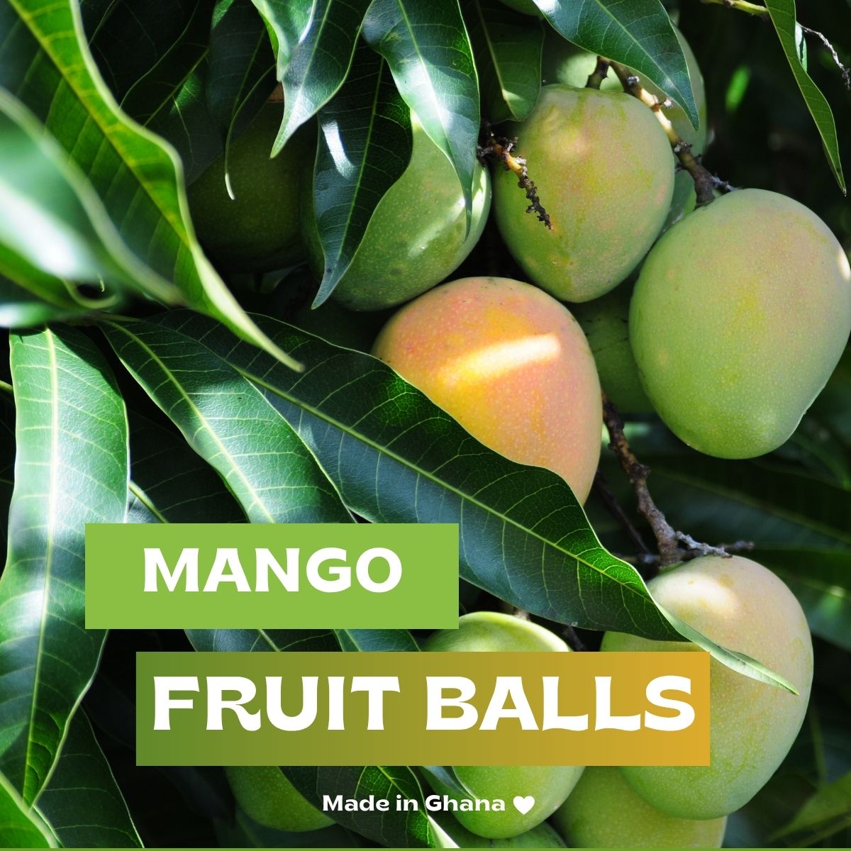 Organic Mango Fruit Balls I Vegan